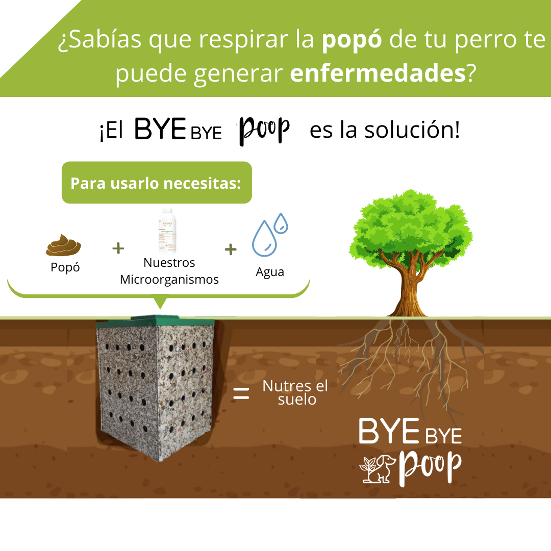 Bye Bye Poop